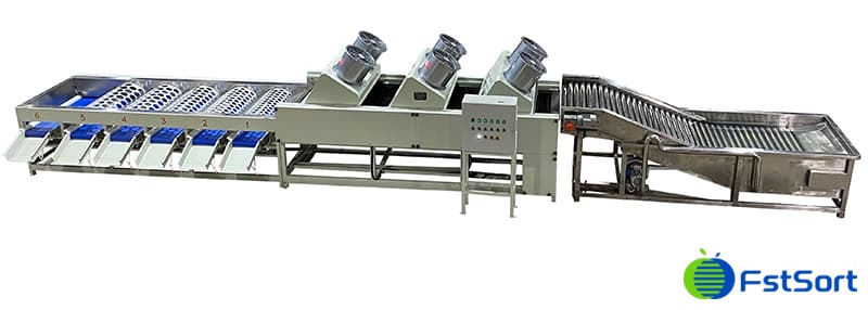 línea-de-clasificación-de-limpieza-de-mandarinas línea-de-clasificación-de-limpieza-de-mandarinas