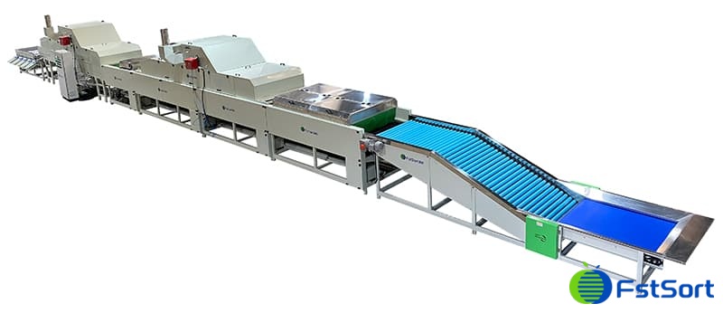 Línea de encerado-clasificadora de mandarinas Línea de encerado-clasificadora de mandarinas