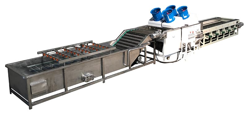 chestnut-cleaning-sorting-line