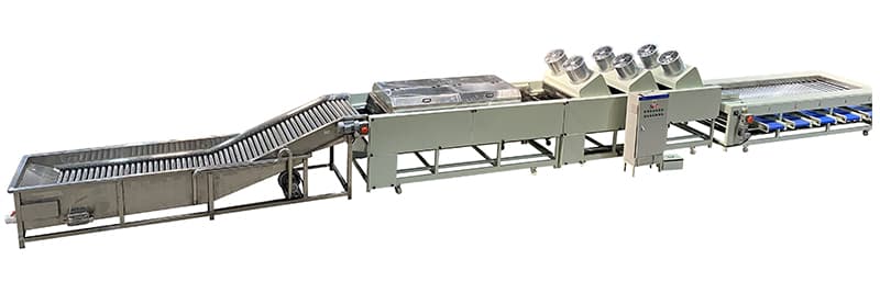 sweet-potato-washing-drying-sorting-line