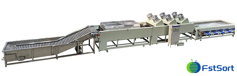 sweet-potato-washing-drying-sorting-line