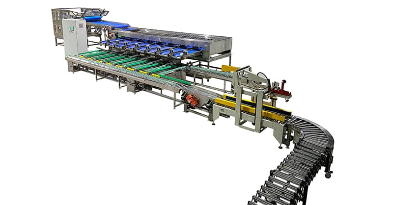 passion-fruit-sorting-packing-line