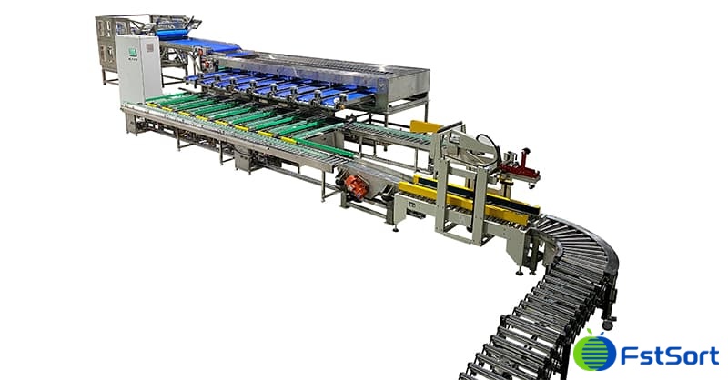 passion-fruit-sorting-packing-line