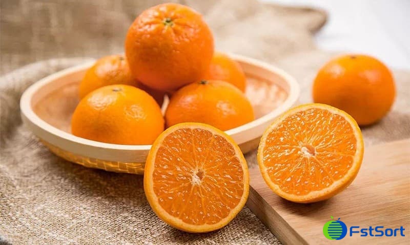citrus citrus