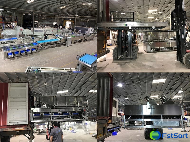 sweet-potato-sorting-machine sweet-potato-sorting-machine