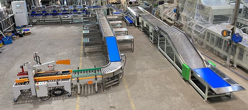 automatic-litchi-packing-line automatic-litchi-packing-line
