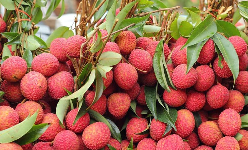 lychees
