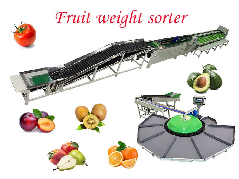 0fruit-sizer