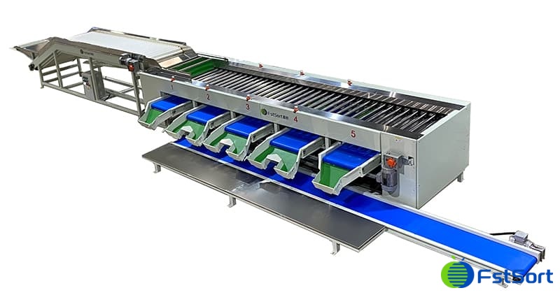 Palabras-grave Palabras-grave