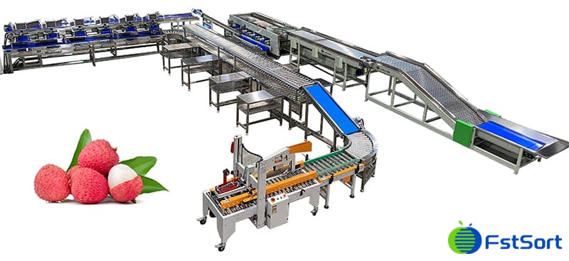 clasificadora-de-lichi clasificadora-de-lichi