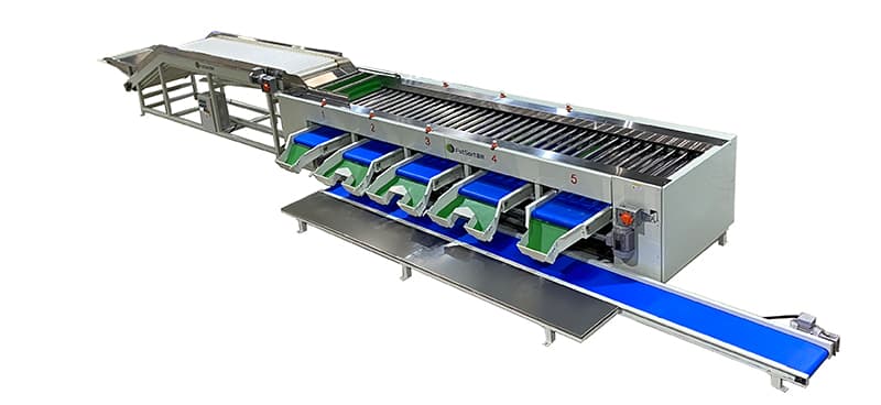 clasificadora de pepino