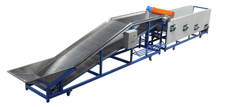 Clasificadora-de-cormo-de-azafrán