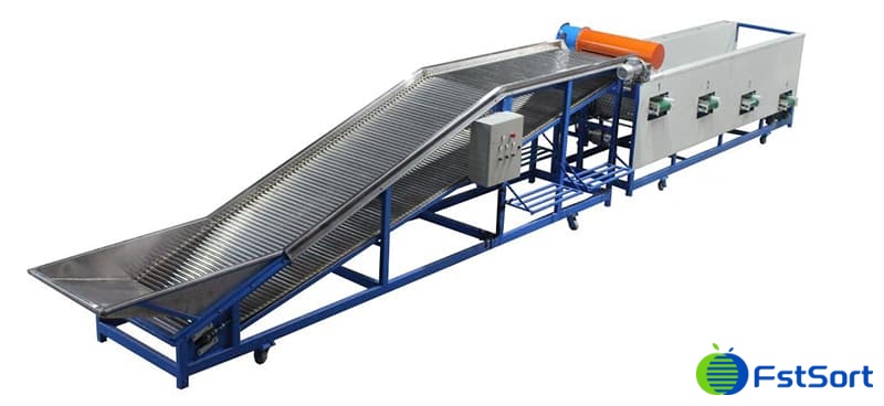 Clasificadora-de-cormo-de-azafrán Clasificadora-de-cormo-de-azafrán