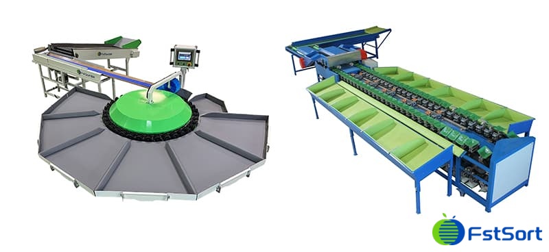 fruits-sorting-machine-by-weight fruits-sorting-machine-by-weight