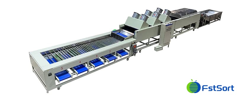 sweet-potaote cleaning drying sorting line sweet-potaote cleaning drying sorting line