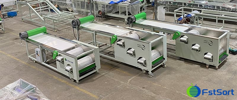 blueberry-sizer blueberry-sizer