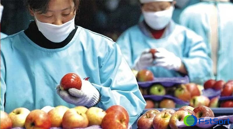 apple-sorting apple-sorting