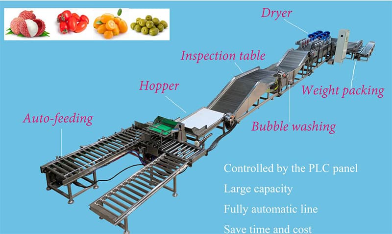 images/1623378068426fruit-sorting-packing-line.jpg