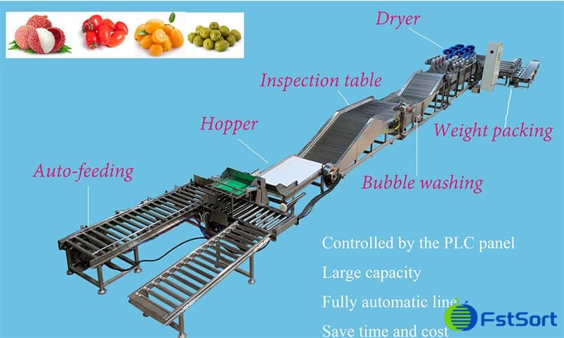 images/1623378068426fruit-sorting-packing-line.jpg