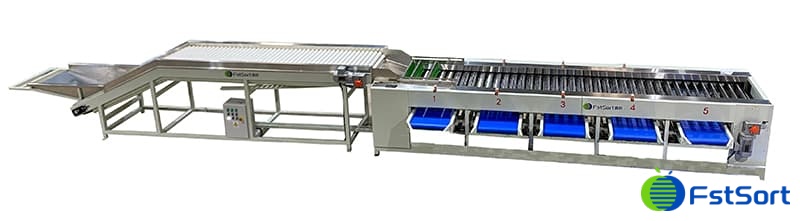 Máquina-clasificadora-de-tomate-cereza Máquina-clasificadora-de-tomate-cereza