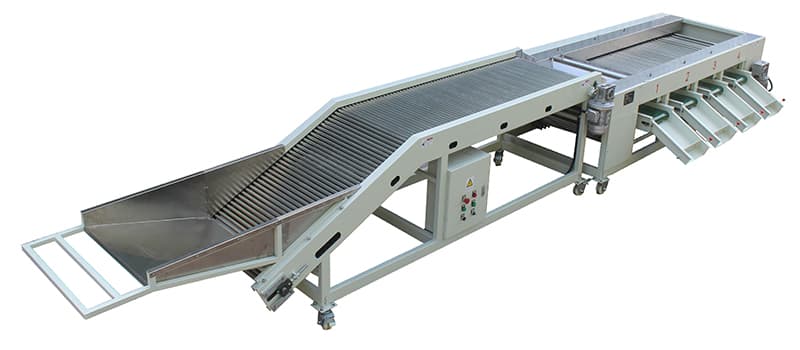 jujube-sorting-machine