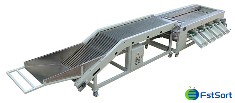 jujube-sorting-machine jujube-sorting-machine