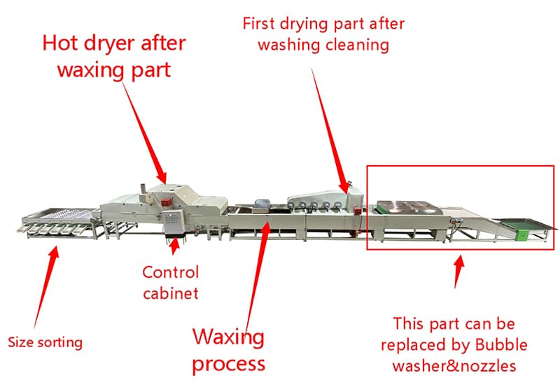 citrus-cleaning-sorting-packing-line