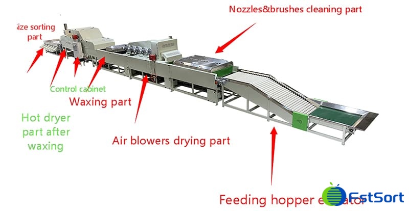 orange-cleaning-grading-line orange-cleaning-grading-line