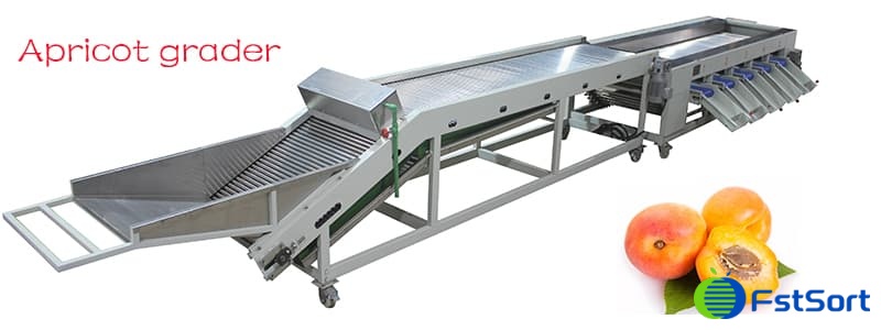 Apricot-classifier Apricot-classifier