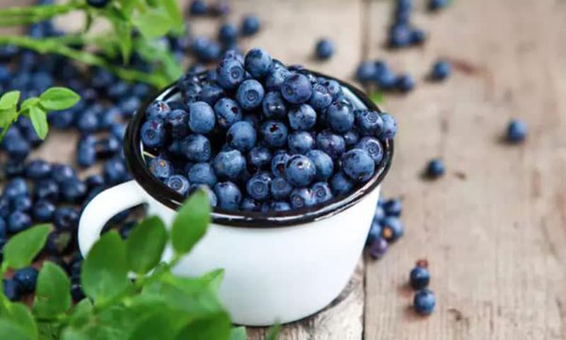 blueberries