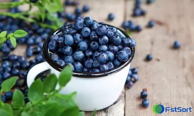 blueberries blueberries