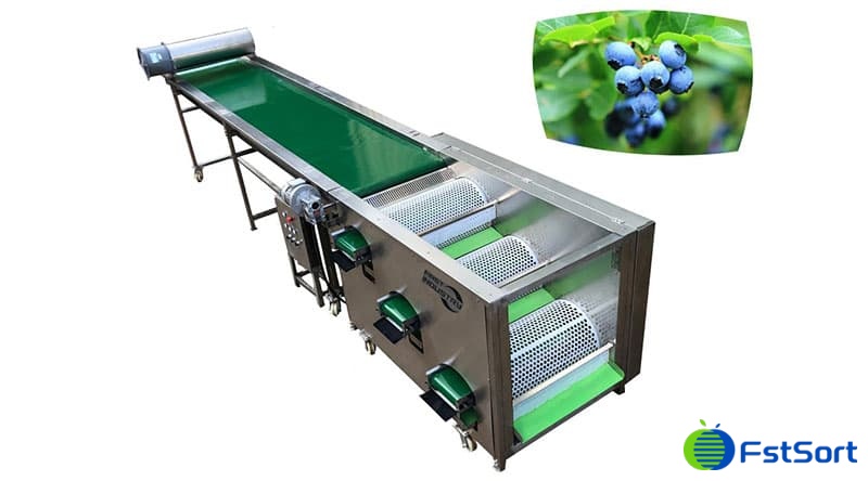 blueberry-grader blueberry-grader