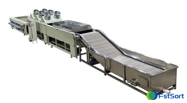 Línea-de-procesamiento-de-batata-con-funciones,-limpieza,secado,-clasificación Línea-de-procesamiento-de-batata-con-funciones,-limpieza,secado,-clasificación