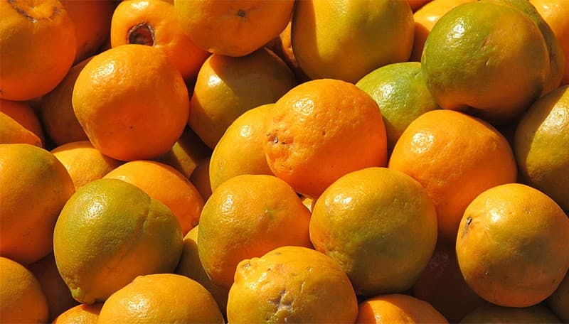 citrus