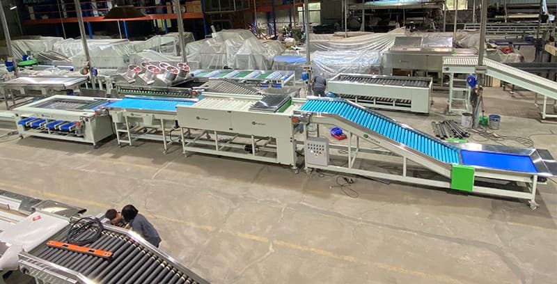 orange-sorting-machine