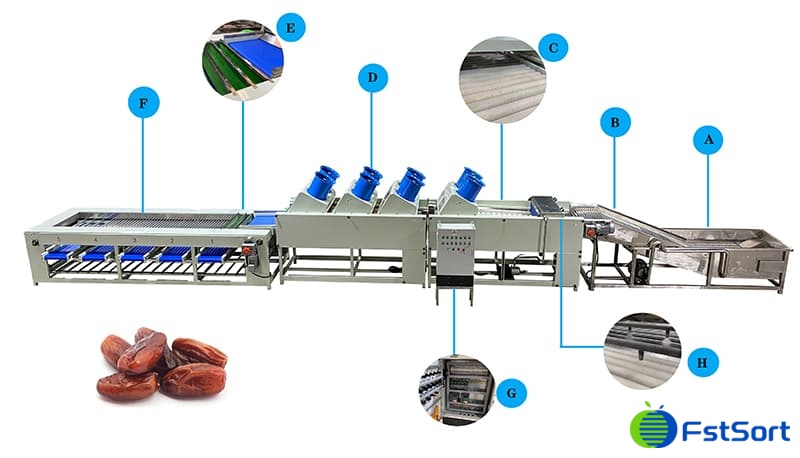 date-cleaning-sorting-line date-cleaning-sorting-line