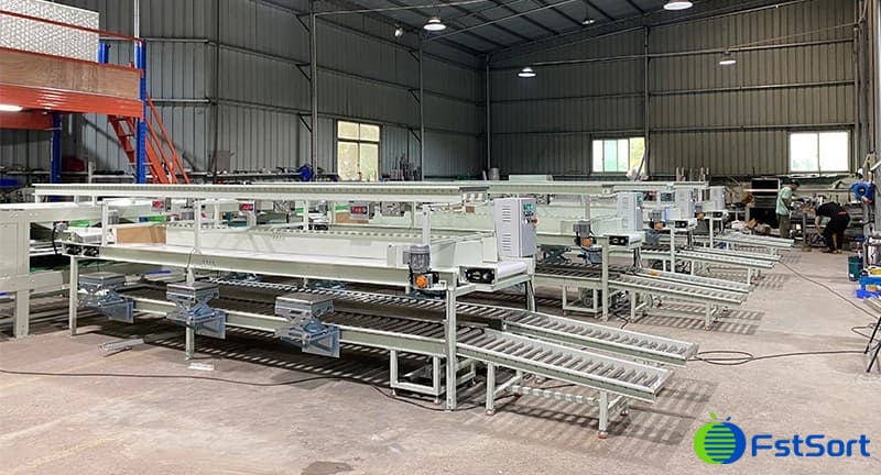 línea-de-envasado-de-clasificación-de-frutas línea-de-envasado-de-clasificación-de-frutas