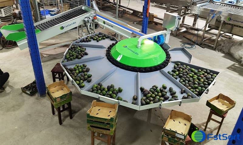 avocado-grading-machine avocado-grading-machine