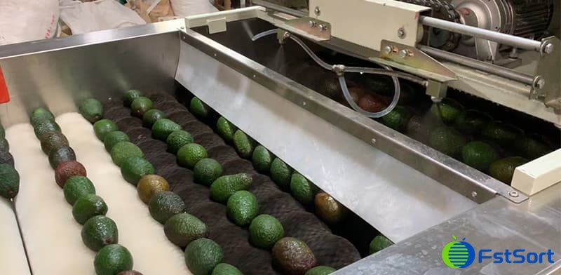 avocado-waxing-line avocado-waxing-line