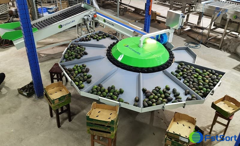 avocado-grader avocado-grader