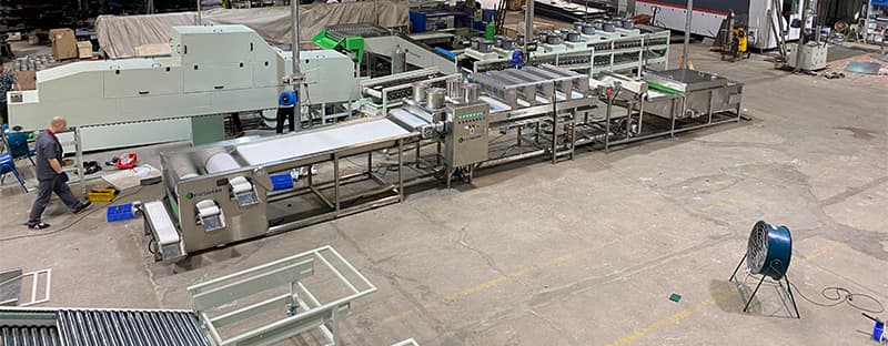 Frozen-Blueberry-Cleaning-Grading-Line