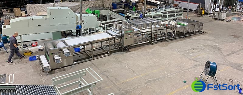 Frozen-Blueberry-Cleaning-Grading-Line Frozen-Blueberry-Cleaning-Grading-Line