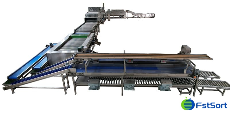 La líena de procesamiento de batata en Luoyang La líena de procesamiento de batata en Luoyang