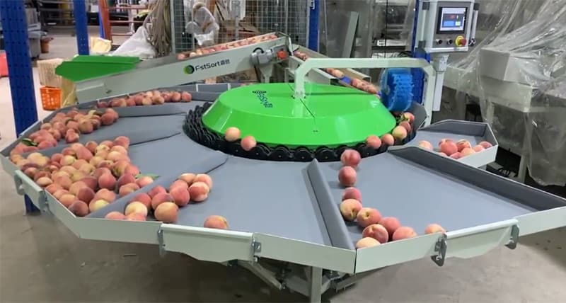 peach-grader