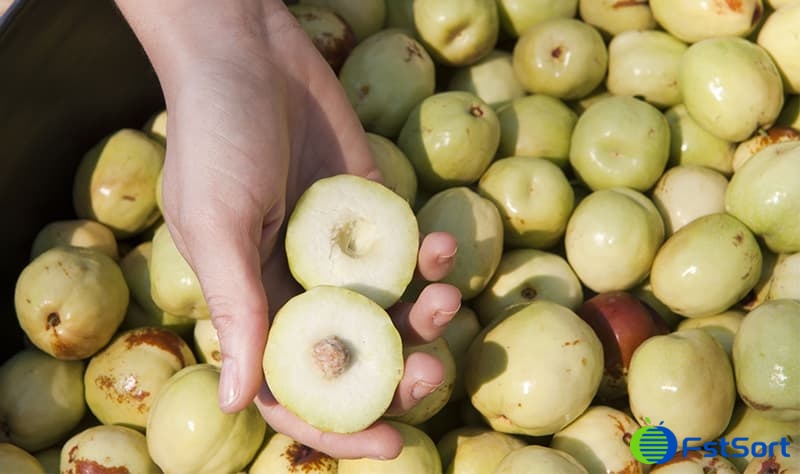 fresh-jujube fresh-jujube