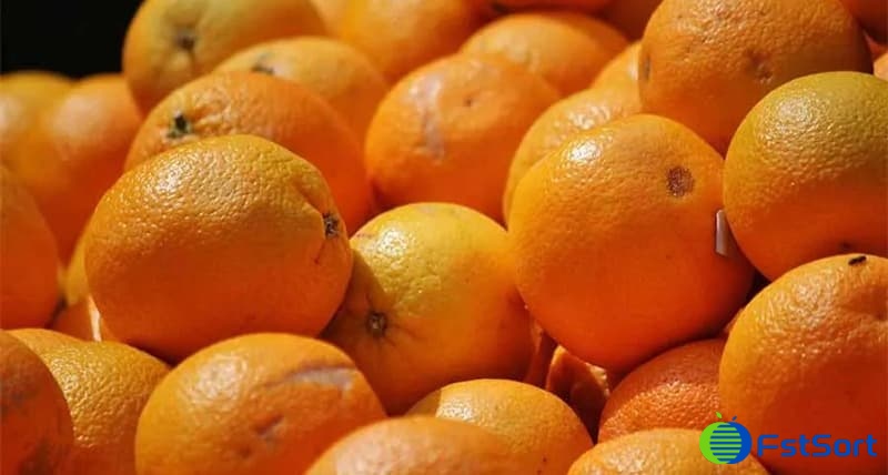 citrus-fruits citrus-fruits