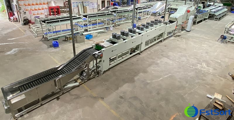 La-máquina-clasificadora-de-aguacates-por-peso-con-dos-líneas La-máquina-clasificadora-de-aguacates-por-peso-con-dos-líneas