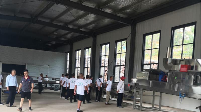 Installation-site-of-sweet-potato-cleaning-grading-packaging-line