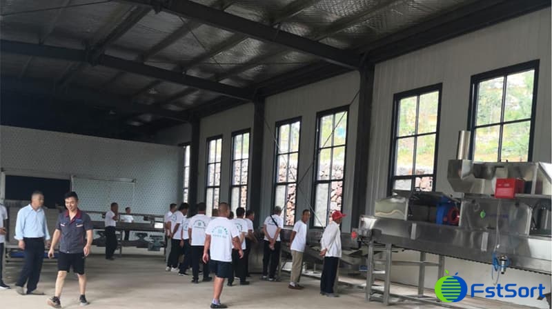 Installation-site-of-sweet-potato-cleaning-grading-packaging-line Installation-site-of-sweet-potato-cleaning-grading-packaging-line