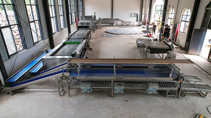 Sweet-Potatoes-Washing-Drying-Sorting-Sizing-Packing-Line